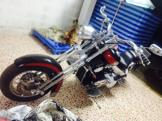 steed  6000 ทะเบียนแท้