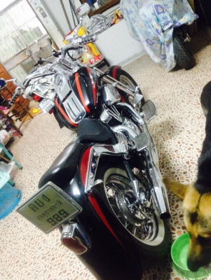 steed  6000 ทะเบียนแท้