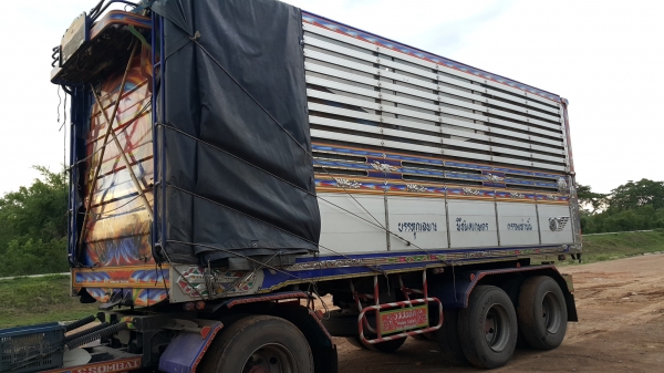 ขายดาวน์หรือตัดสดรถพ่วง 22 ล้อ แม่-ลูก กระบะเนียมคอกเกษตรดั้ม ISUZU 360 ปี.25.ก.ค.57 วิ้ง.130000 กว่ากิโล  สนใจรีบจองด่วน