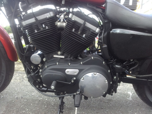 ขาย HD Sportster Iron 883 / 2013
