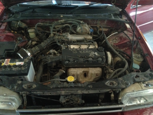 HONDA ACCORD HONDA ACCORD