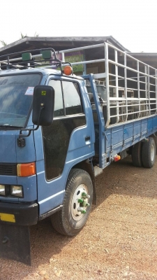 ISUZU NPR59P เครื่อง 115 แรง 4BD1 Fหลัง หน้า6น้อต กะบะยาว 5 เมตร 318,000 พิเศษครับ