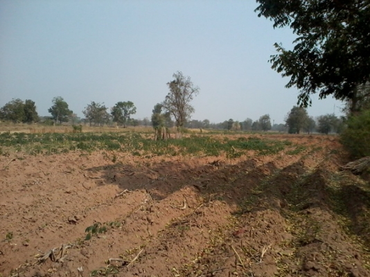 ขายที่ดินติดถนนลาดยางใกล้ทางหลวง 47- 2 -0 ไร่  ราคา 400,000 บาทต่อไร่ (อ.สีคิ้ว)