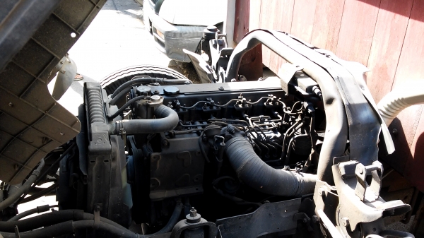 ขาย 6 ล้อกลาง ISUZU รุ่นELF ความยาว 4.30ม. ขาย 480,000บาท ติดต่อ คุณสัจจา 081-868-1693 กรุงเทพฯ