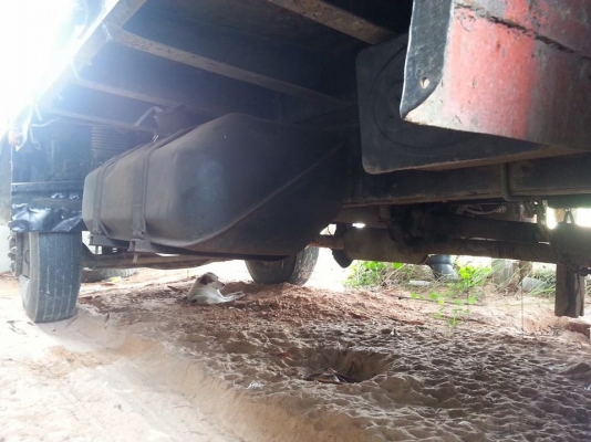 ขายสิบล้อ1เพลา HINO เครื่องHO7D 195แรง พ.เพาเวอร์ เบรกทิฟฟี่ ภายในสวย สภาพพร้อมใช้งาน เอกสารพร้อมโอน สนใจโทร 090-8588220คุณนะ 093-3258446คุณบิว ID:narong498 หรือเข้าดูสินค้าอื่นๆได้ที่ www.truck.in.th/498 หรือเพจFacebook ณรงค์ ซื้อขายรถมือสอง (เว็บไซต์ส่ว ขายสิบล้อ1เพลา HINO เครื่องHO7D 195แรง พ.เพาเวอร์ เบรกทิฟฟี่ ภายในสวย สภาพพร้อมใช้งาน เอกสารพร้อมโอน สนใจโทร 090-8588220คุณนะ 093-3258446คุณบิว ID:narong498 หรือเข้าดูสินค้าอื่นๆได้ที่ www.truck.in.th/498 หรือเพจFacebook ณรงค์ ซื้อขายรถมือสอง (เว็บไซต์ส่ว