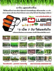 อาหารเสริมพืชนาโน