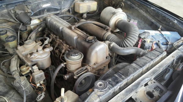 โฮลเด้น รุ่น โทราน่า