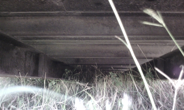 ขาย กระบะ 6 ล้อ กระบะเหล็กคาร์โก้ ไม่ดัมพ์  ขายถูกๆๆ