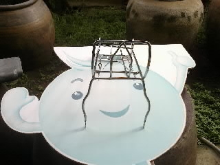 กันลายชาลี