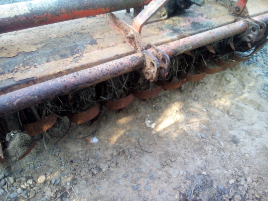 โลตารี่1.80ตราช้าง