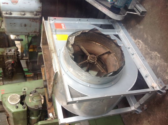 หอยโข่ง