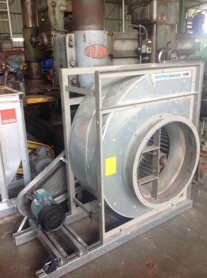 หอยโข่ง