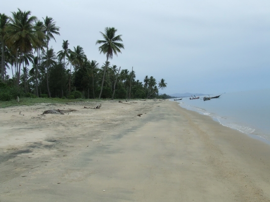 ขออนุญาติขายที่ดินติดทะเลหลังติดถนนดำครับชายหาดสวยๆ