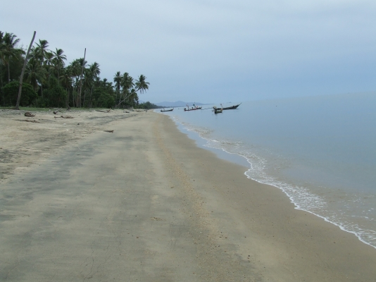 ขออนุญาติขายที่ดินติดทะเลหลังติดถนนดำครับชายหาดสวยๆ