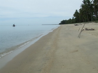 ขออนุญาติขายที่ดินติดทะเลหลังติดถนนดำครับชายหาดสวยๆ