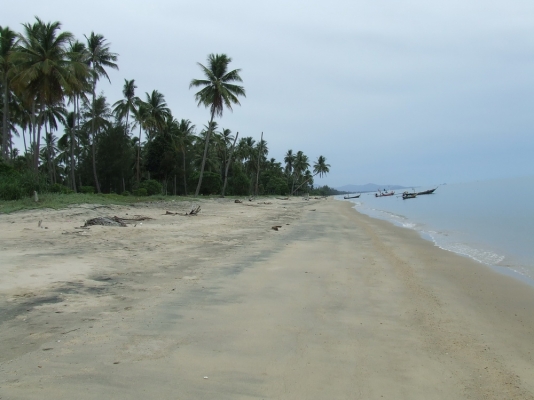 ขออนุญาติขายที่ดินติดทะเลหลังติดถนนดำครับชายหาดสวยๆ