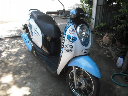 สกุปปี้ ไอ ถูกมาก