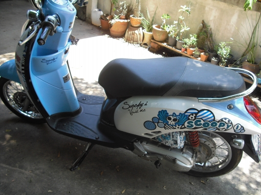 สกุปปี้ ไอ ถูกมาก สกุปปี้ ไอ ถูกมาก