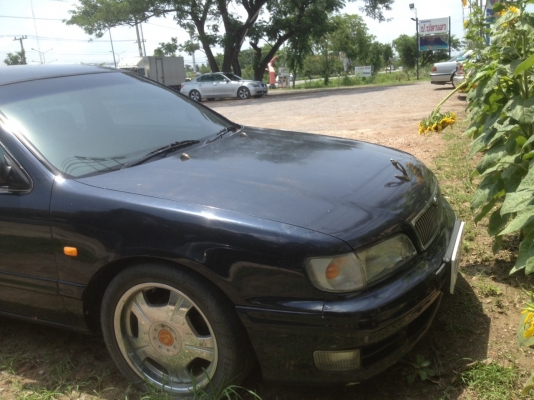 ขาย nissan cefiro