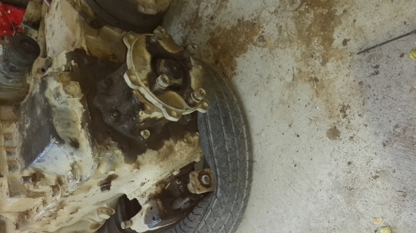 ขายเกียร์hoพร้อมสโล ขายเกียร์hoพร้อมสโล