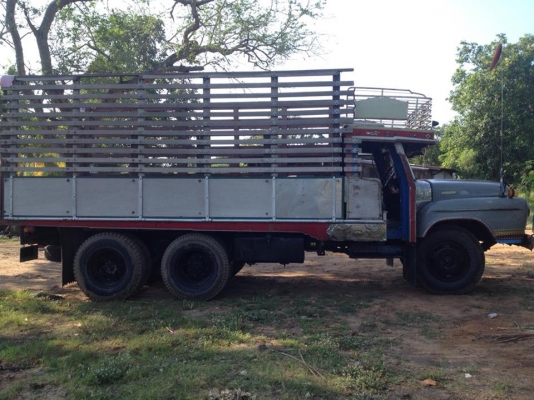 ขายรถ10ล้อ หัวยาวเครื่อง175แรง พ.เพาเวอร์ ช่วงล่างใหญ่FUSO เครื่องดี แคชซีสวย สภาพพร้อมใช้งาน เอกสารพร้อมโอน สนใจโทร 090-8588220คุณนะ 093-3258446คุณบิว ID:narong498 หรือเข้าดูสินค้าอื่นๆได้ที่ www.truck.in.th/498 หรือเพจFacebook ณรงค์ ซื้อขายรถมือสอง (เว็