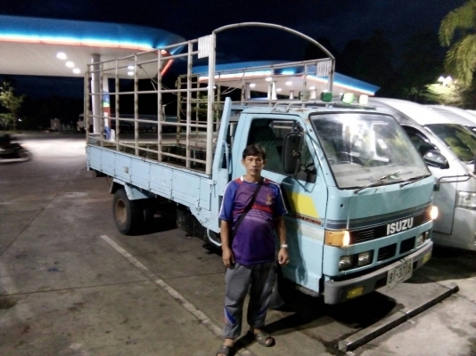 ISUZU 85แรงม้า ปีจดทะเบียน 2523 กระบะคาร์โก้ ยาว4 เมตร กว้าง1.90 เมตร