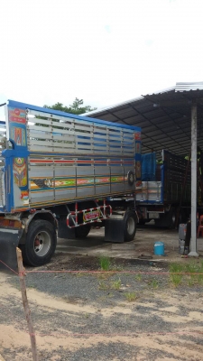 ขายพ่วงดั้ม M6  260 เเรง รถสภาพนางฟ้ารถสวยวิ่งน้อย