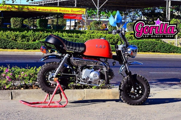 มังกี้ กอลิล่า แต่งๆๆ ลดราคาทุกรุ่นและมีของแถมอีกมากมาย  ด่วนๆๆ ลดๆๆ