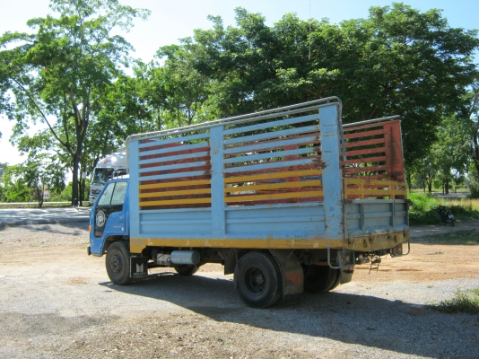 ขายรถ6ล้ออืซูซุ npr 115 พร้อมใช้งาน ใส่กระบอกดั้มทำดั้มเกษตรได้เลย ขายรถ6ล้ออืซูซุ npr 115 พร้อมใช้งาน ใส่กระบอกดั้มทำดั้มเกษตรได้เลย