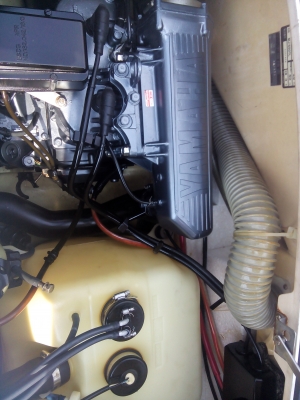 YAMAHA ปลาโอ 650 เก่าญี่ปุ่น มี 2 ลำ YAMAHA ปลาโอ 650 เก่าญี่ปุ่น มี 2 ลำ