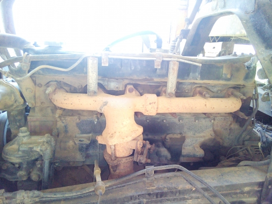 นางฟ้า240สวยมาก