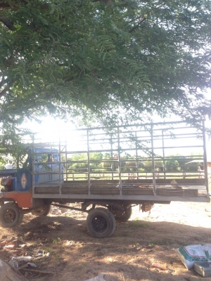 อีแต๋น บ้านๆ ขายพร้อมเครื่อง เจ้าของขายเอง ขายตามสภาพ ใช้งานปกติ **รถอยู่ลำปาง** โทร 085 639 0132 หนึ่งรับสายจ้า