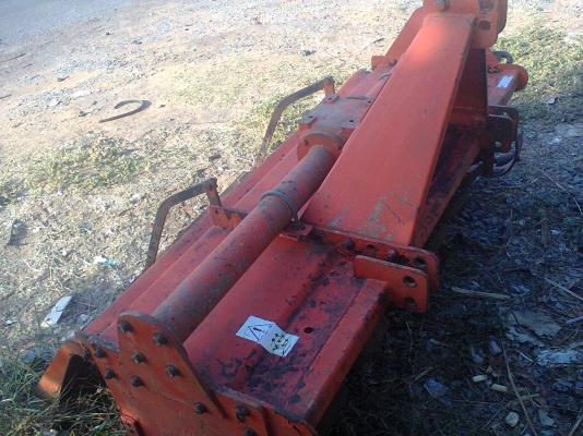 โลตาลี่