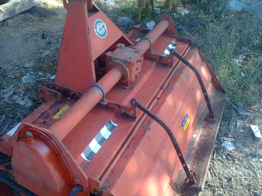 โลตาลี่