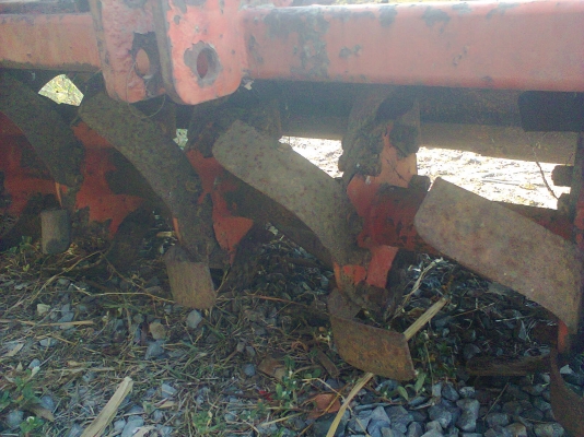 โลตาลี่