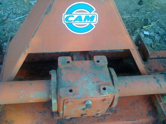 โลตาลี่