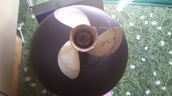 ใบจักร ใบพัดเรือ