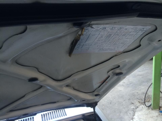 ไมตี้ 1995 รถพร้อมใช่งาน เพาเวอร์แท้ รถทรงดี คานหน้าเดิมมีตัวเลขชัดๆ มีตัวเลข รถเดิมมากๆครับ ไมตี้ 1995 รถพร้อมใช่งาน เพาเวอร์แท้ รถทรงดี คานหน้าเดิมมีตัวเลขชัดๆ มีตัวเลข รถเดิมมากๆครับ