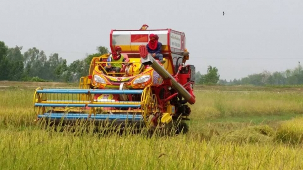 ขายดาวน์7.5แสน รถเกี่ยวข้าวเกษตรพัฒนา รุ่นปลดหนี้ อุ้ม2.5ตัน เครื่อง210เทอร์โบ ส่ง16 งวด งวดละ1.4 แสน ส่งแล้ว 2 งวด เหลือ14 งวด สภาพพร้อมใช้งาน สนใจโทร 090-8588220คุณนะ 093-3258446คุณบิว ID:narong498 หรือเข้าดูสินค้าอื่นๆได้ที่ www.truck.in.th/498 หรือเพจ