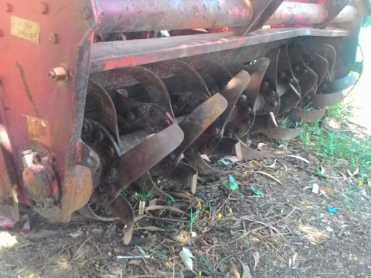 ขายวิเชียร1.70ครอบคุณพี่จากอยุทธยามากครับ