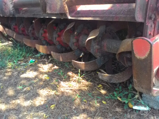 ตราช้าง1.60