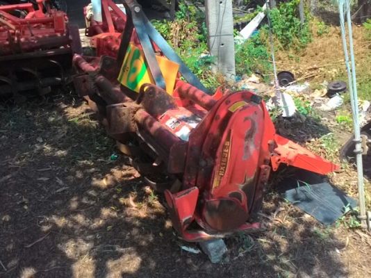 ตราช้าง1.60