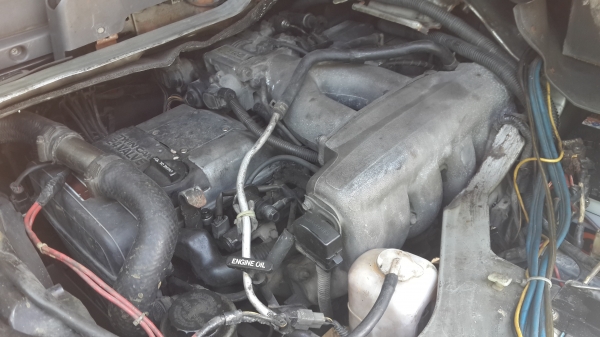 นิสสัน เออแวน ปี 2004 Auto LPG มือแรกป้ายแดง (ด่วน 159,000)