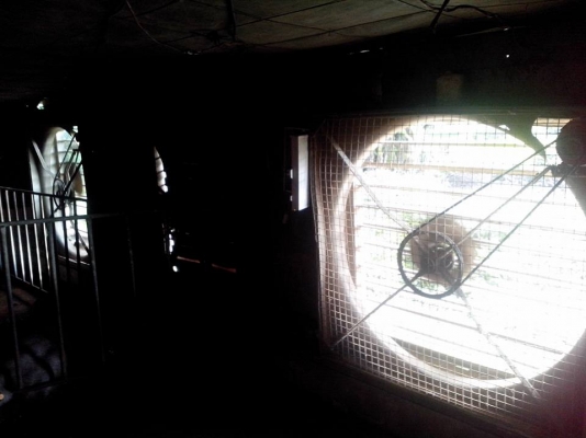 มอเตอร์ 3 เฟส ไฟบ้านติดตั้งมอเตอร์ 3 เฟส ช่วยลดค่าไฟฟ้าได้ถึง 35\% ใช้ในฟาร์มหมูฟาร์มไก่หรืออื่นๆ ลดค่าใช้จ่ายได้ดี