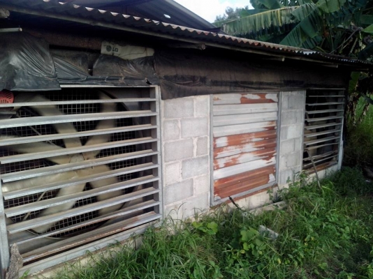 มอเตอร์ 3 เฟส ไฟบ้านติดตั้งมอเตอร์ 3 เฟส ช่วยลดค่าไฟฟ้าได้ถึง 35\% ใช้ในฟาร์มหมูฟาร์มไก่หรืออื่นๆ ลดค่าใช้จ่ายได้ดี