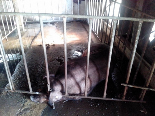 มอเตอร์ 3 เฟส ไฟบ้านติดตั้งมอเตอร์ 3 เฟส ช่วยลดค่าไฟฟ้าได้ถึง 35\% ใช้ในฟาร์มหมูฟาร์มไก่หรืออื่นๆ ลดค่าใช้จ่ายได้ดี