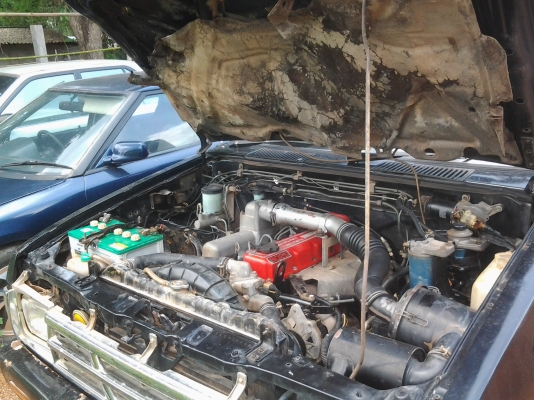 NISSAN BIGM 2.5 ฝาแดง ปี37 หน้าโง่ แอร์เย็น ภายในสวย คัชีมีปะครับ ภาษีขาด 2ปีครึ่ง NISSAN BIGM 2.5 ฝาแดง ปี37 หน้าโง่ แอร์เย็น ภายในสวย คัชีมีปะครับ ภาษีขาด 2ปีครึ่ง