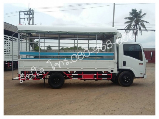รถบรรทุก ISUZU NMR 130แรงม้า กระบะหลังคาโดยสาร