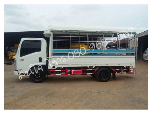 รถบรรทุก ISUZU NMR 130แรงม้า กระบะหลังคาโดยสาร
