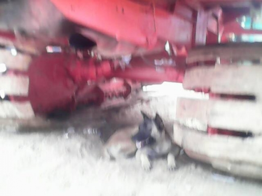 ขายรถเกี่ยวข้าวไทยเจริญ อุ้ม2.5ตัน เครื่อง185แรง เครื่องดี ช่วงล่างแน่น ตัวเดิน10 ปั้ม22 สภาพพร้อมใช้งาน สนใจโทร 090-8588220คุณนะ 093-3258446คุณบิว ID:narong498 หรือเข้าดูสินค้าอื่นๆได้ที่ www.truck.in.th/498 หรือเพจFacebook ณรงค์ ซื้อขายรถมือสอง (เว็บไซต ขายรถเกี่ยวข้าวไทยเจริญ อุ้ม2.5ตัน เครื่อง185แรง เครื่องดี ช่วงล่างแน่น ตัวเดิน10 ปั้ม22 สภาพพร้อมใช้งาน สนใจโทร 090-8588220คุณนะ 093-3258446คุณบิว ID:narong498 หรือเข้าดูสินค้าอื่นๆได้ที่ www.truck.in.th/498 หรือเพจFacebook ณรงค์ ซื้อขายรถมือสอง (เว็บไซต